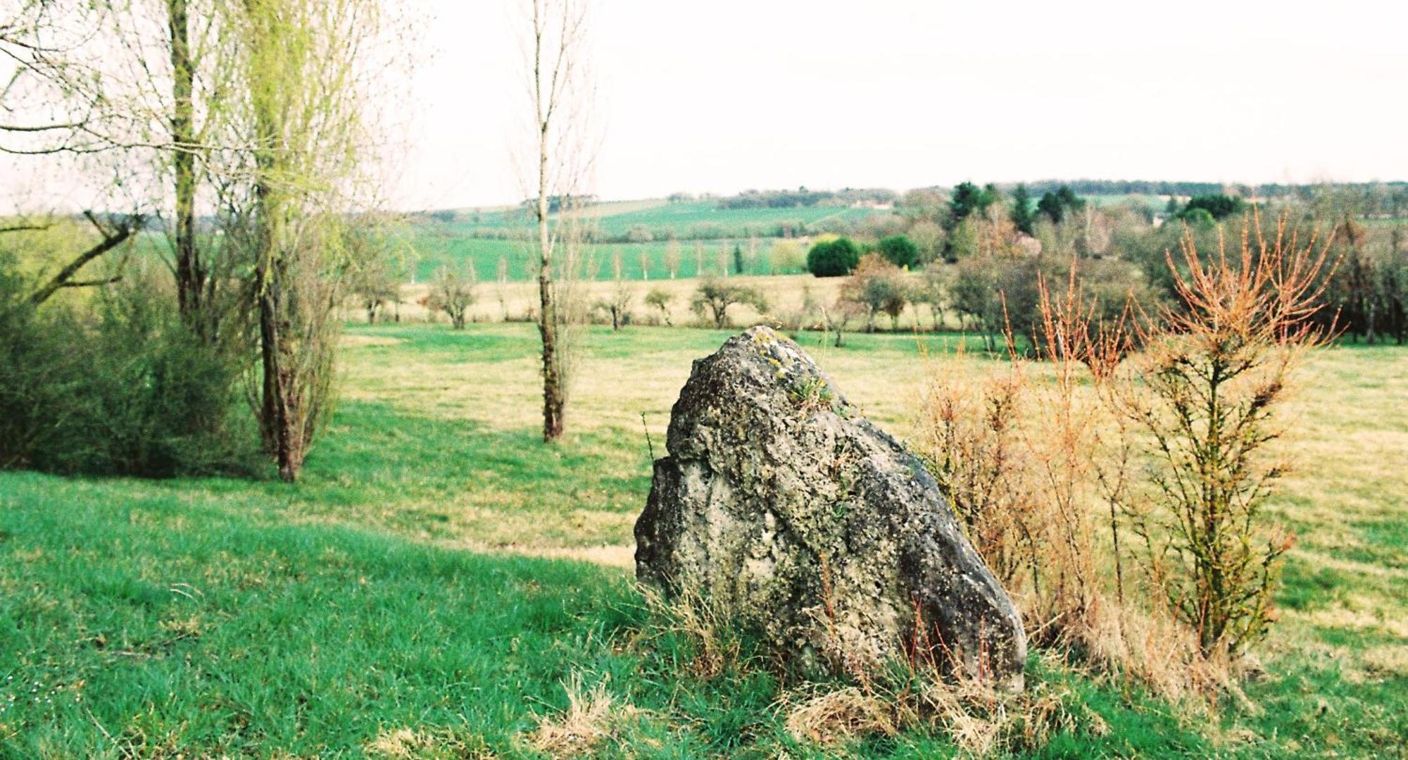 Bossay-sur-Claise Les Bertaulieres B&B 외부 사진