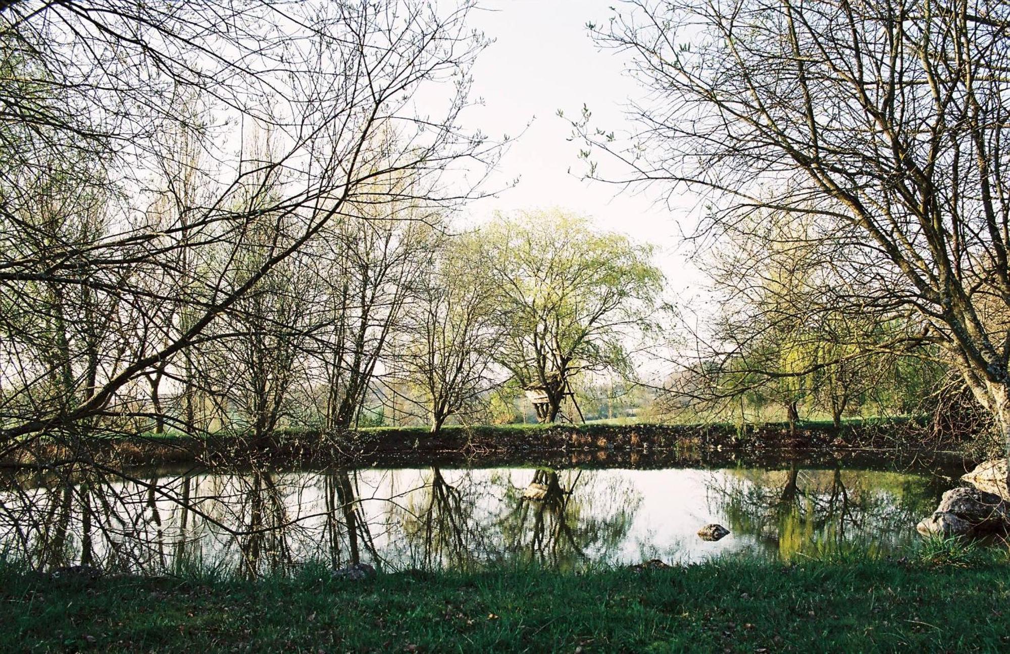 Bossay-sur-Claise Les Bertaulieres B&B 외부 사진